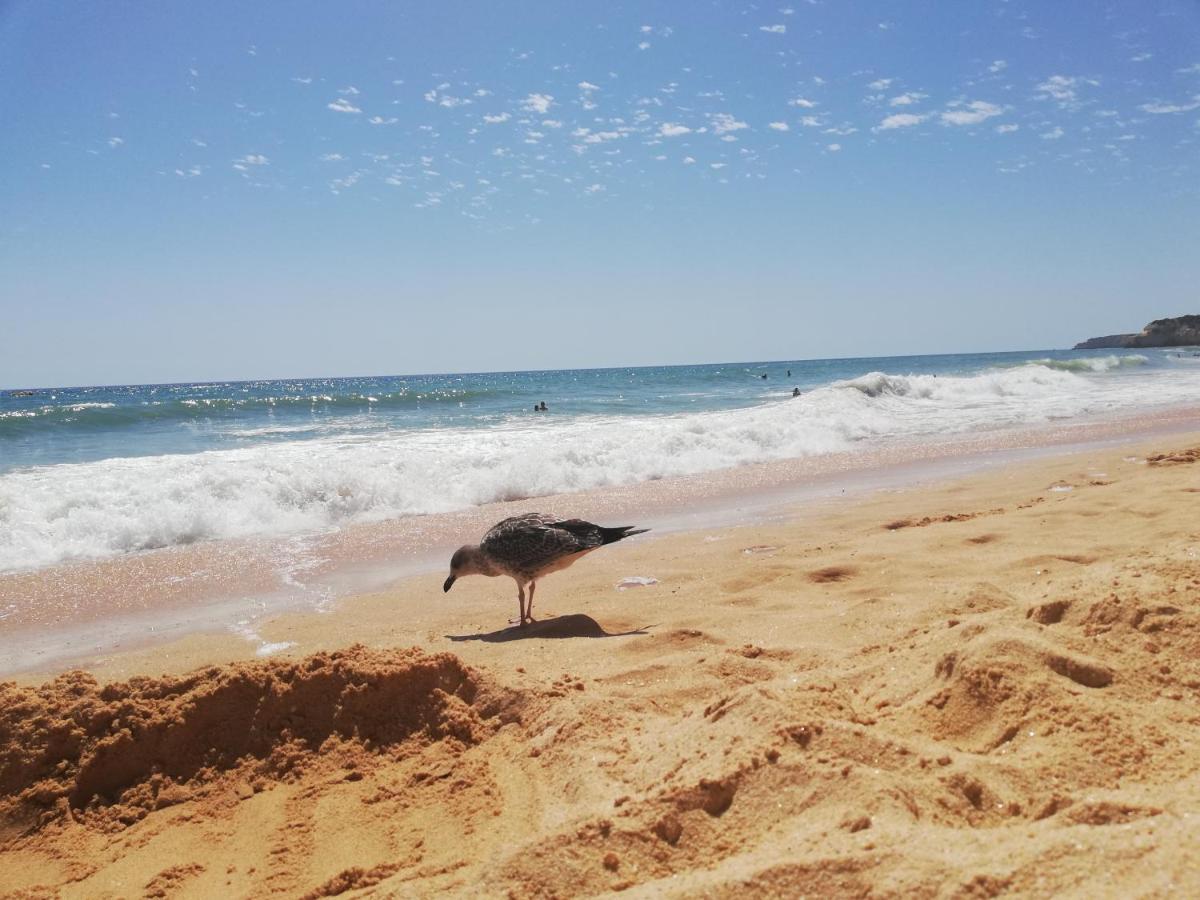 Apartamento Do Algarve Армасан-де-Пера Екстер'єр фото