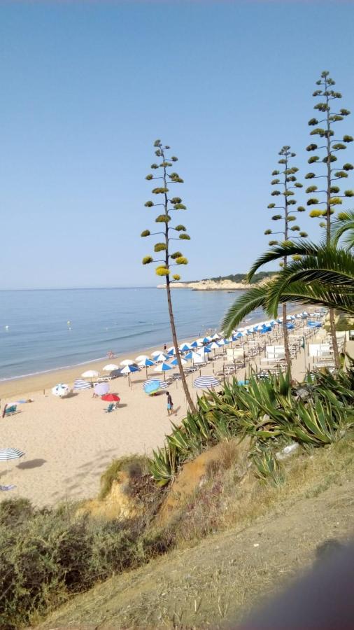 Apartamento Do Algarve Армасан-де-Пера Екстер'єр фото